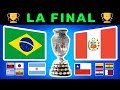 https://copaamerica-final.com/