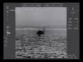 Navy attack Sea Tigers