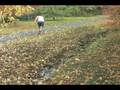 Jacob Baldwin and Tom Elwood's Adidas Commercial