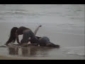 Em briga de mulher, ninguem se mete!!