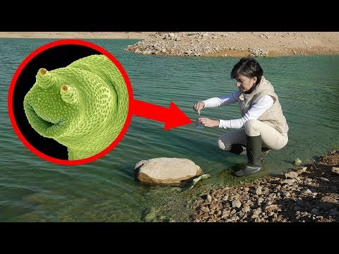 STRANGEST Geological Occurrences Ever Discovered!