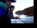 Pesca de Trucha Pesca de Trucha