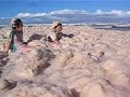 foam on beach at byron bay