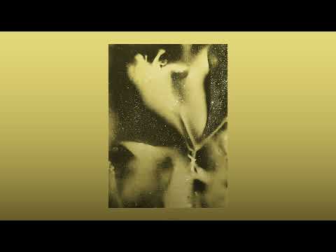 Flying Lotus - Unexpected Delight (feat. Laura Darlington)