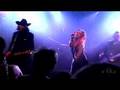clip video Pig Junky
