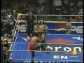 triplemania 6  # 2 vipers vs aaa