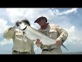 Tarpon Cay Lodge by Gary and Jason Borger - Yucatan Tarpon Tarpon Cay Lodge by Gary and Jason Borger - Yucatan Tarpon