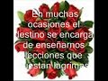 Mi verdad