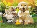 Mi verdad