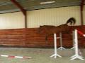 cheval d'avenir