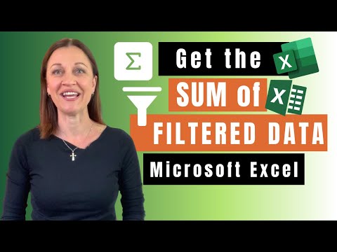 video-linktoworks-GET the SUM of Filtered Data in Excel