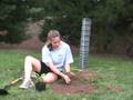 Plant Your Tree
