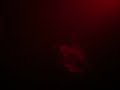 6 flags fright fest hunted house 2