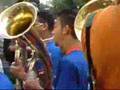 orkestar agusevi cambo