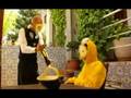 Assistir ao v�deo