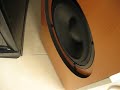 Peerless Bass Test - Bass I Love You