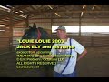 Jack Ely, former Kingsmen, sings LOUIE LOUIE to horse Jack Ely, former Kingsmen, sings LOUIE LOUIE to horse