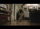 Footbag Session Highlights 02/23/08
