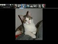 Gwenview in KDE 4.1