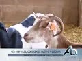 aragon en abierto granja escuela la torre