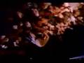 Anthrax - Indians
