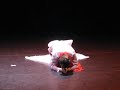 Burmese Dance Level II