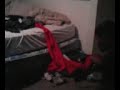 The bed spring The bed spring
