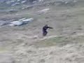 Mountainboard Crash