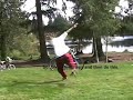 Dogen: J-Step Gainer
