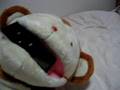 しょこたんに捧ぐ
