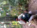 Pico 2