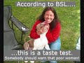 savin me   help fight bsl