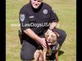 Savin' Me - Help Fight BSL