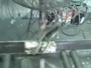 fabbing teardrop beams fabbing teardrop beams