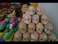 dia de muertos en oaxaca