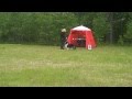 Hundutställning Riddarhyttan 2011-05-28. Vår Collie Sixten Del2