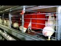 JS West Hen Welfare and Prop 2 Solution