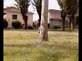Riccardo bubusettete dietro l\