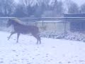 fanny dans la neige