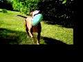 Jada loves to play 2