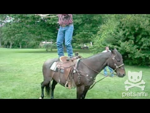 cooluntil - WATCH more funny animal videos: http://bit.ly/xTjPge A cowboy spins a lasso around his body while standing on top of a horse. GET ON THE LIST: http://on.fb.m...