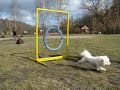 Agility-K.Vary