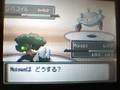 PKMN Platino:Top Trainer Cafe.2-VS Byron