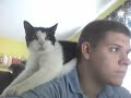Hymek the cat is the East Lancashire Railways Diesel departments cat who went blind and has taken retirement at my house. Whilst sitting at my computer he regularly climbs on my shoulders and sits there.