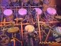 animusic