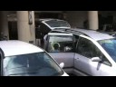 200806 南橫毛地黃 19 人 18 台車