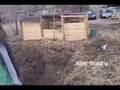 How to Compost