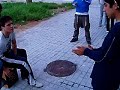 jitanos de valencia