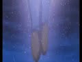 AMV Saikano - Interminable NEW