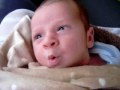 Kaston